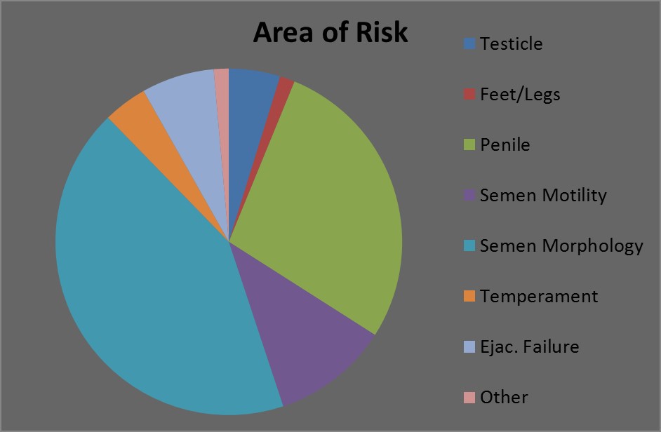 bull graph